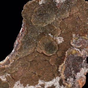 Descloizite